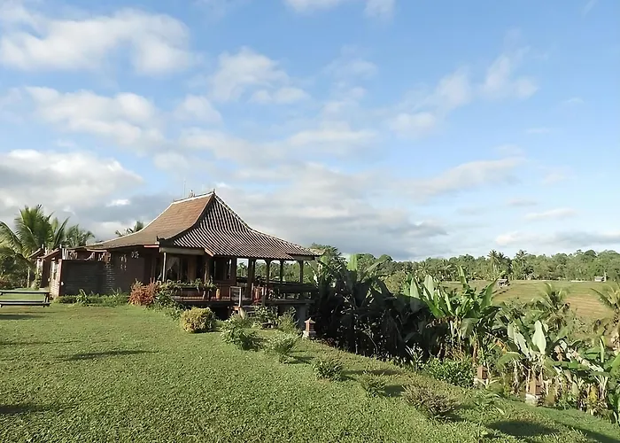 Rumah Pacung Villa